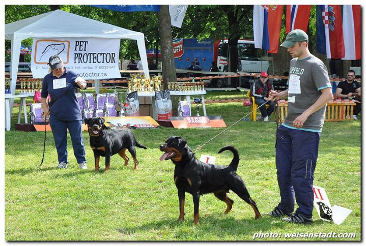 Fantasy von Kelemen Fantasy von Kelemen